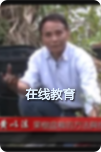 在线教育