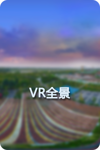 VR全景